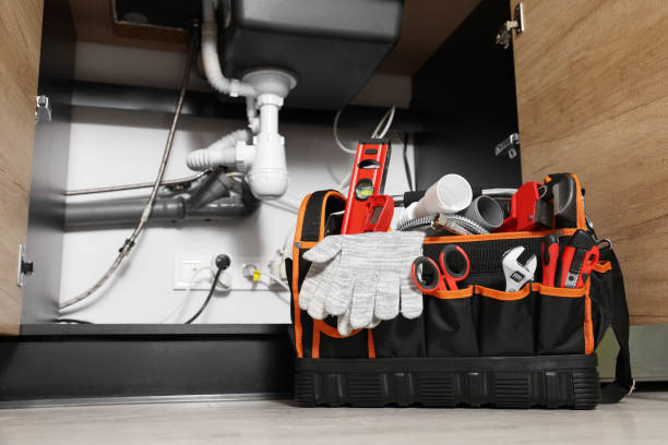 Best Clogged Drain Plumber  in Henderson, NV