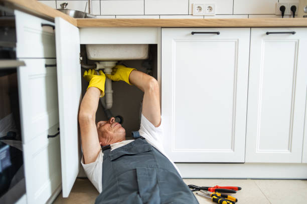 Best Affordable Plumbing Services  in Henderson, NV